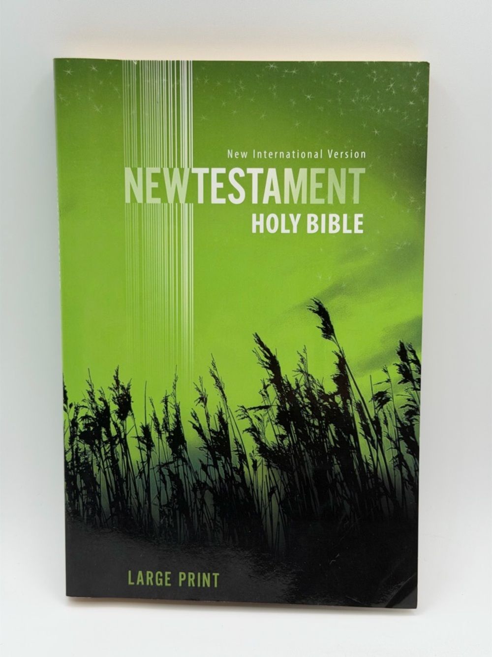 New International Version New Testament Holy Bible Large Print (2011, Paperback)